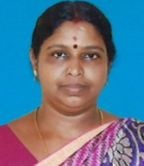 DR.SANKARESWARI N